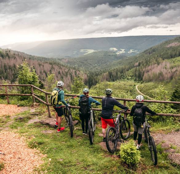 MTB Mountainbiken in Baiersbronn