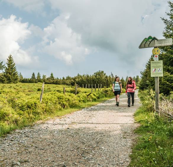 Wandern in der Region Baiersbronn
