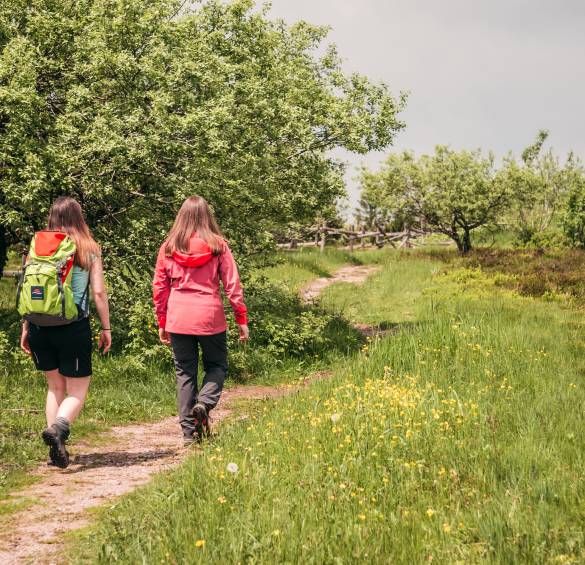 Wandern in Baiersbronn Schwarzwald