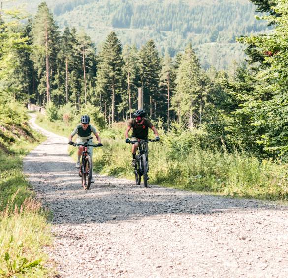 Mountainbiken im Schwarzwald