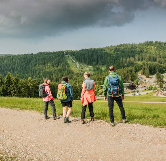 Wandern im Nationalpark Schwarzwald