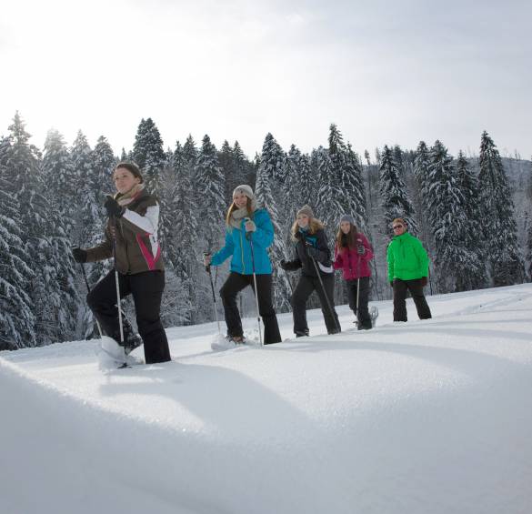 Winterwandern im Schwarzwald