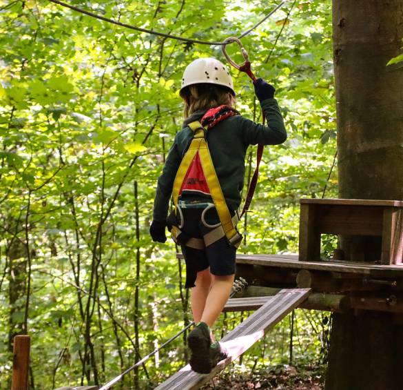 Lust auf Abwechslung?: Ausflüge in der Region - Das Lamm Baiersbronn
