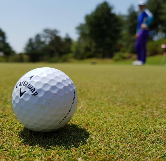 Golf-Arrangement - Das Lamm Baiersbronn