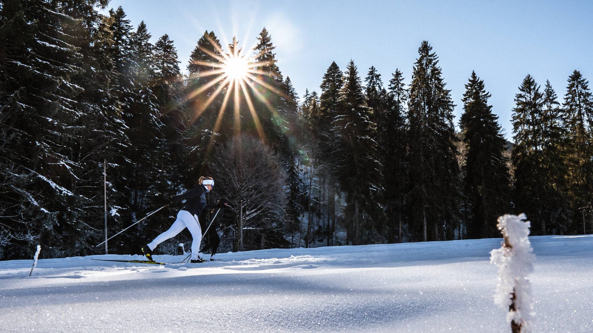 Langlauf im Schwarzwald