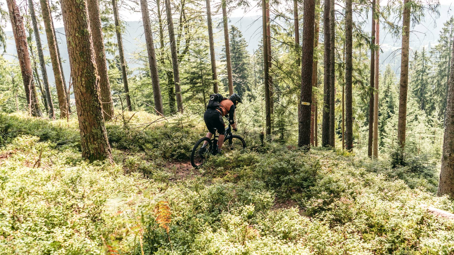 Mountainbiken Trail durch den Schwarzwald